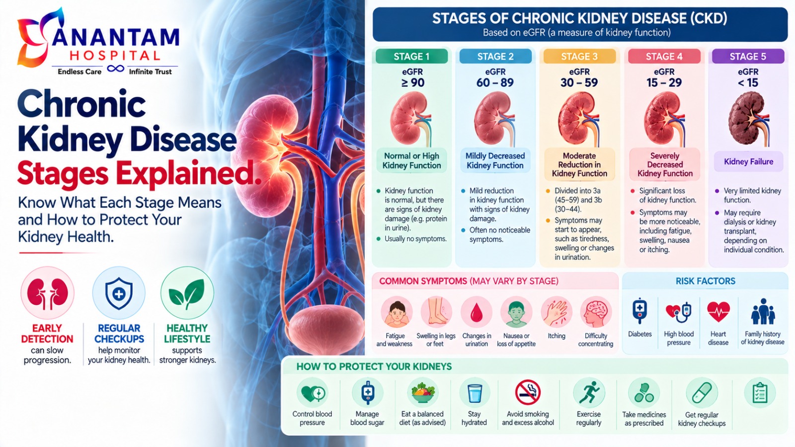 Stages of chronic kidney disease from G1 to G5 and declining kidney function